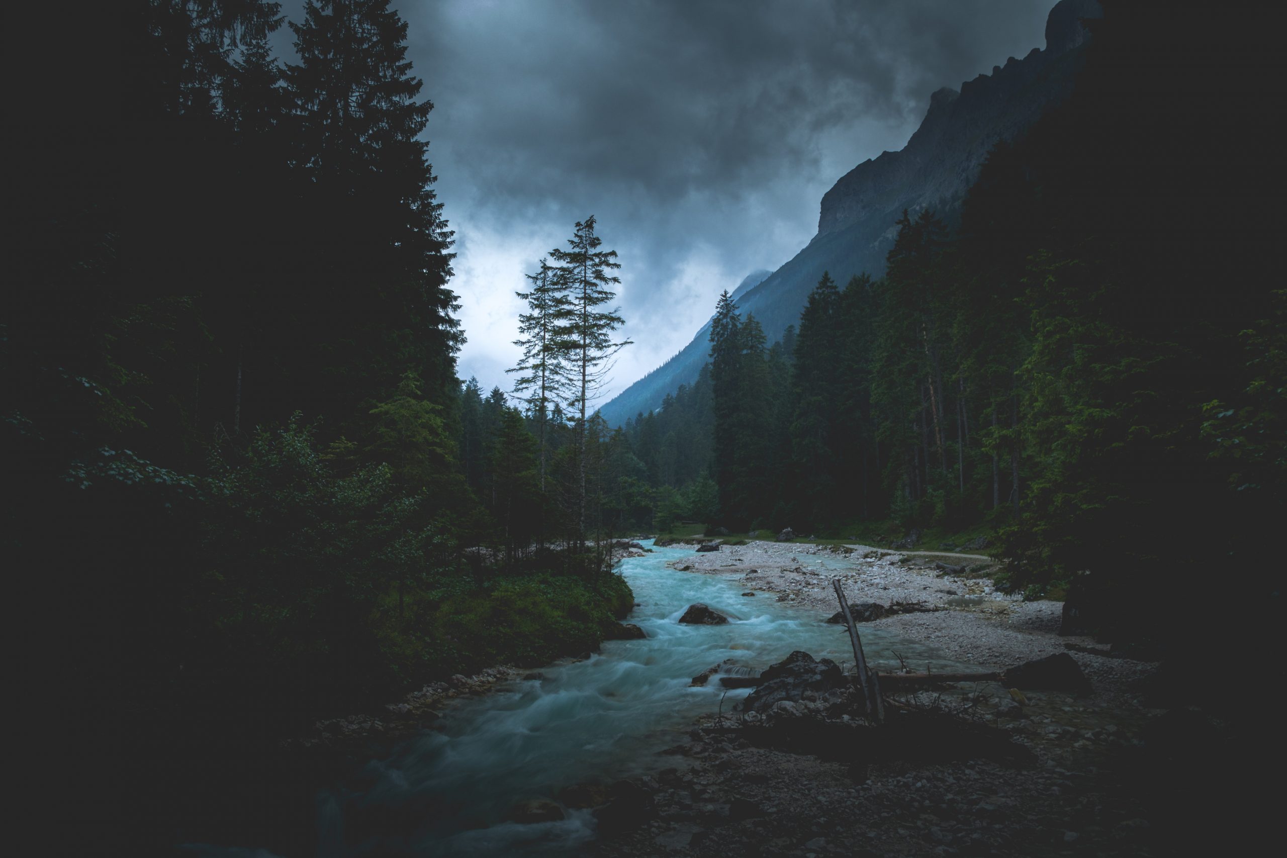karsten-würth-7BjhtdogU3A-unsplash-scaled